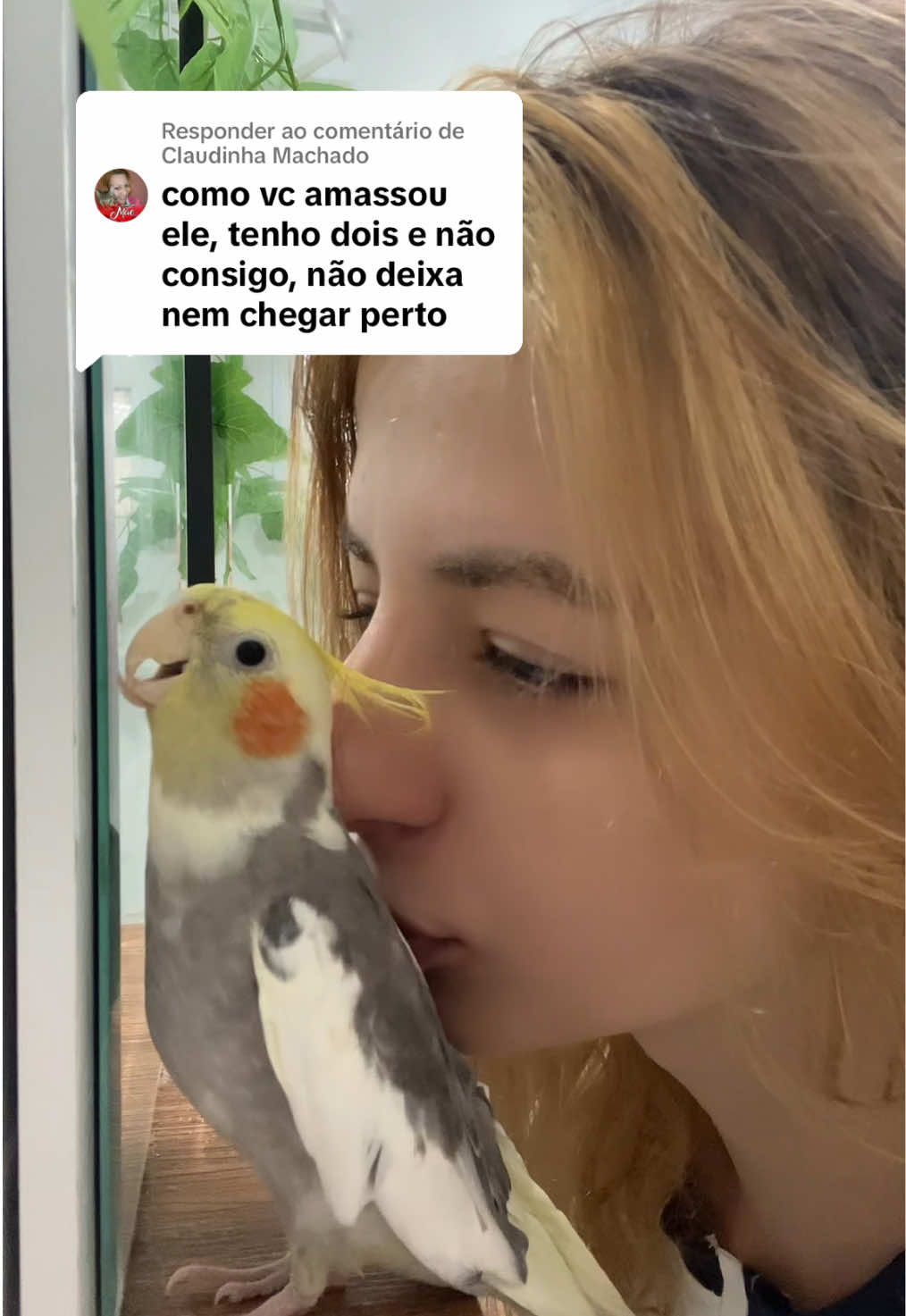 @juliabartoloo