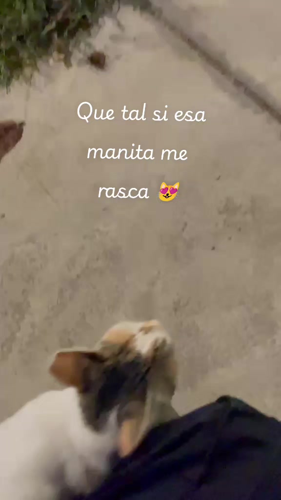 @Violeta Porras - Vio