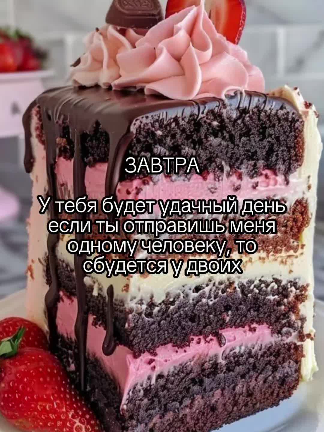 @mediachart