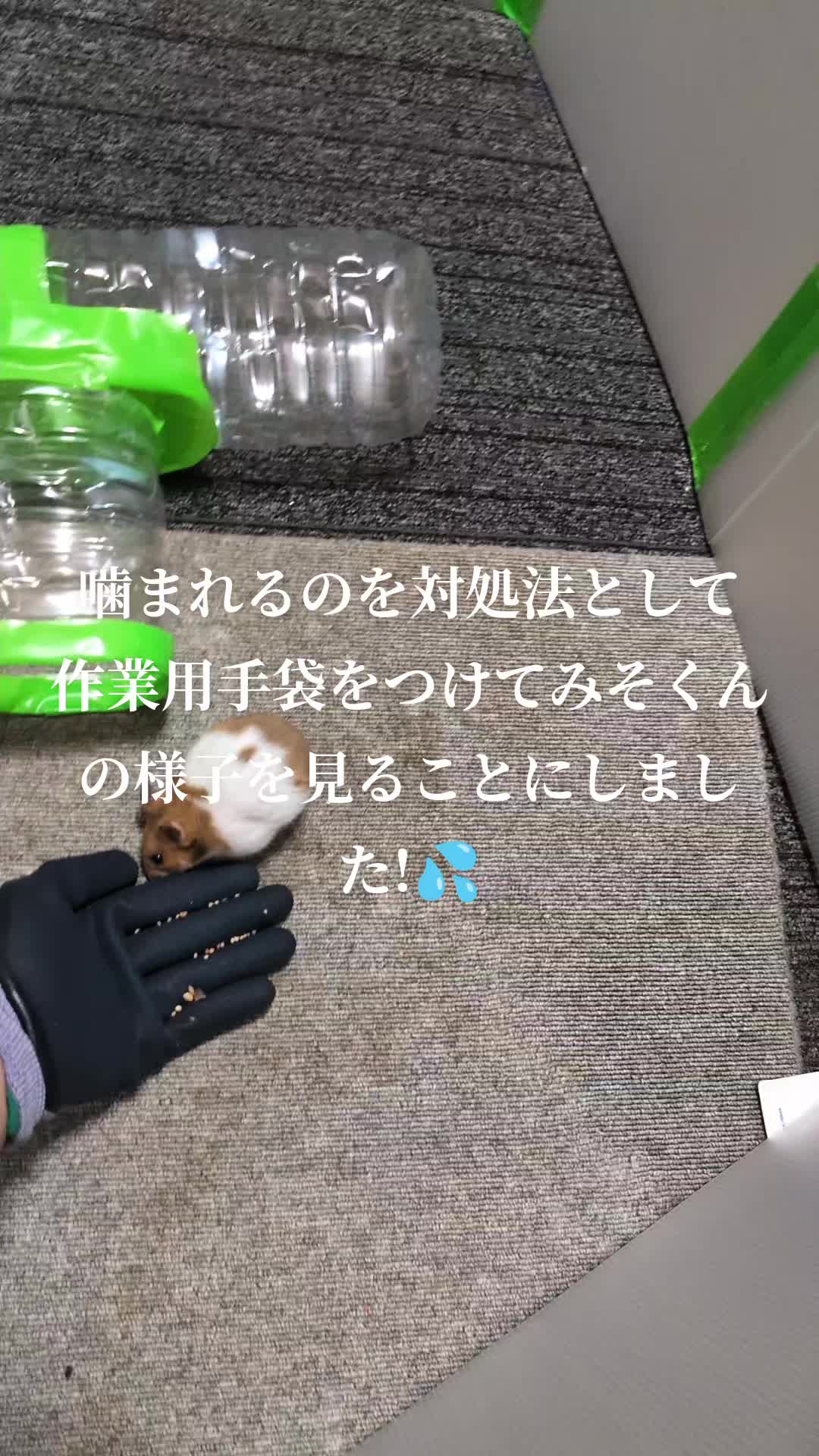 @K・B・M