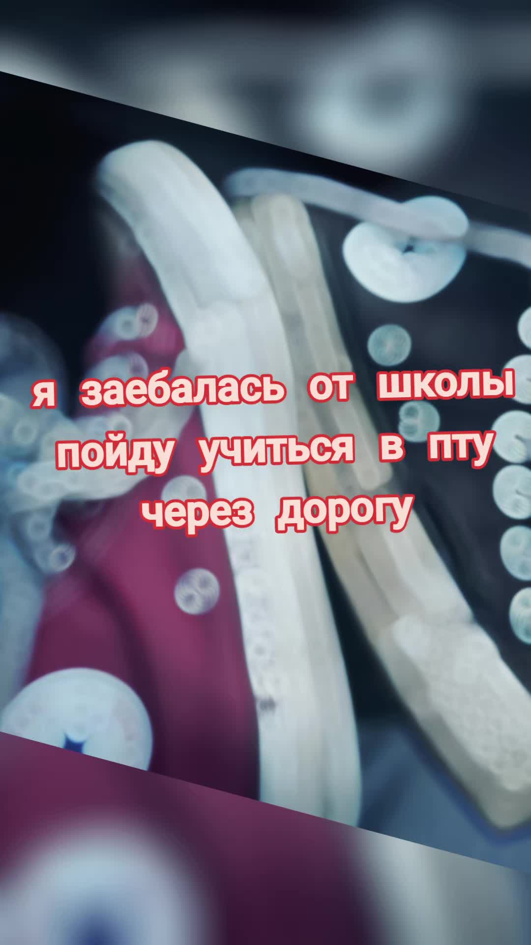 @^^shillalalalaXD@