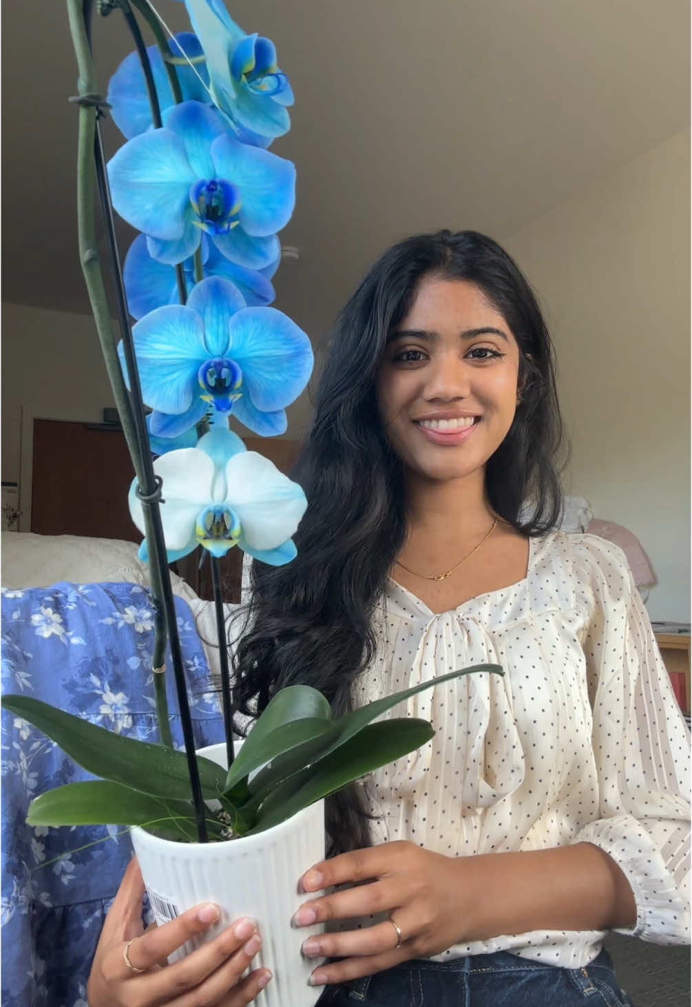 @tanvidaz
