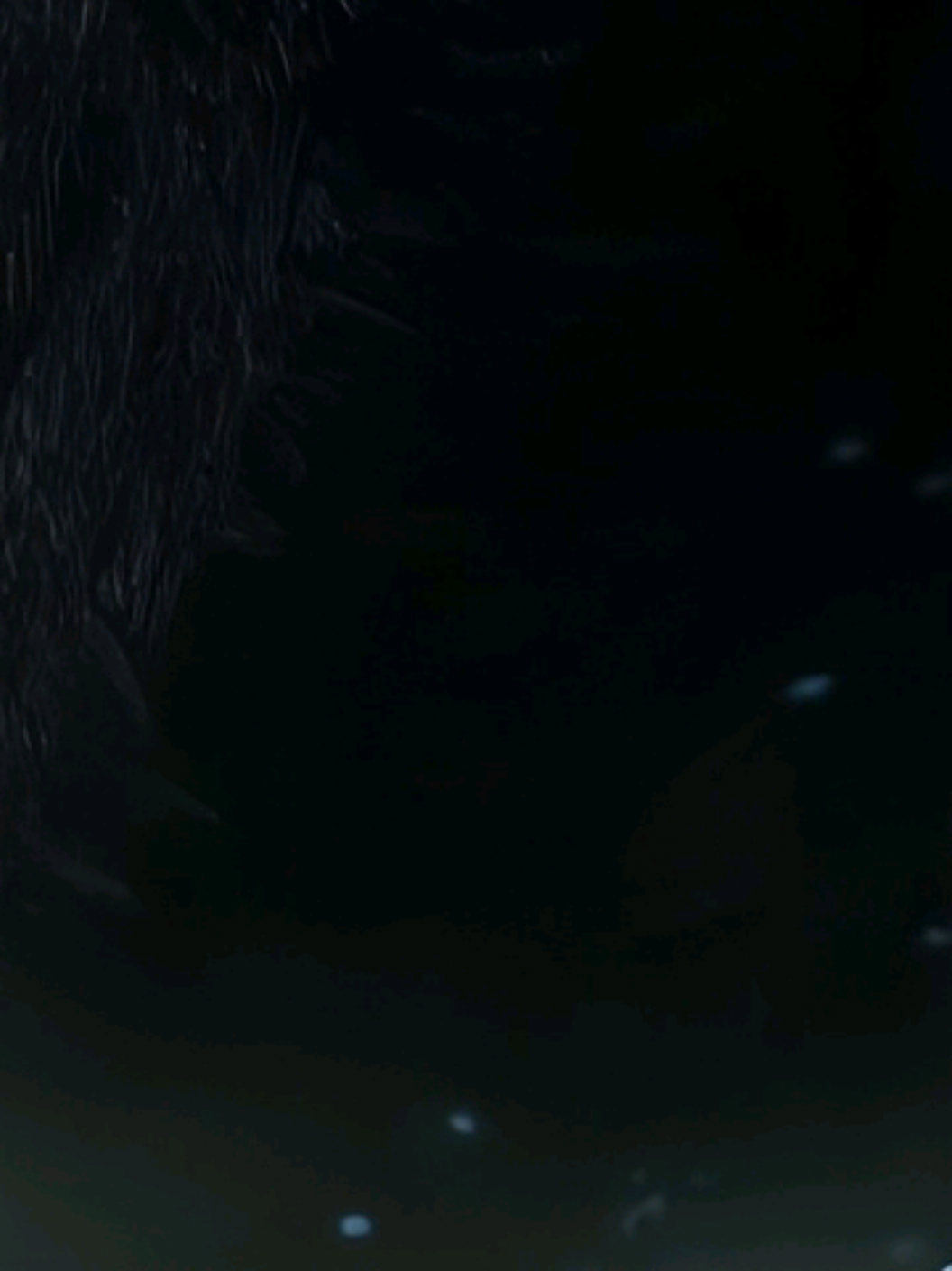 @𝐘 𝐚 𝐳 𝐳 𝐲 🕸