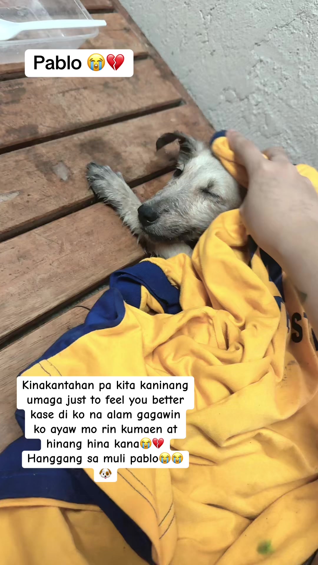 @Bii Cala 🕸️