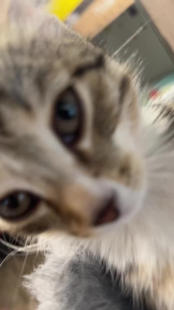 @панхолик