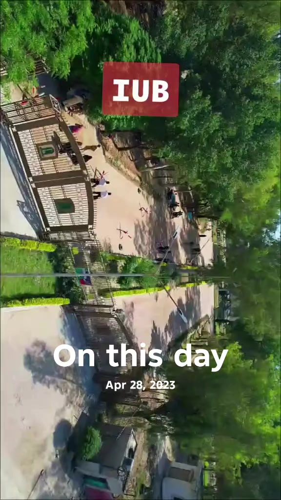 @alichagata