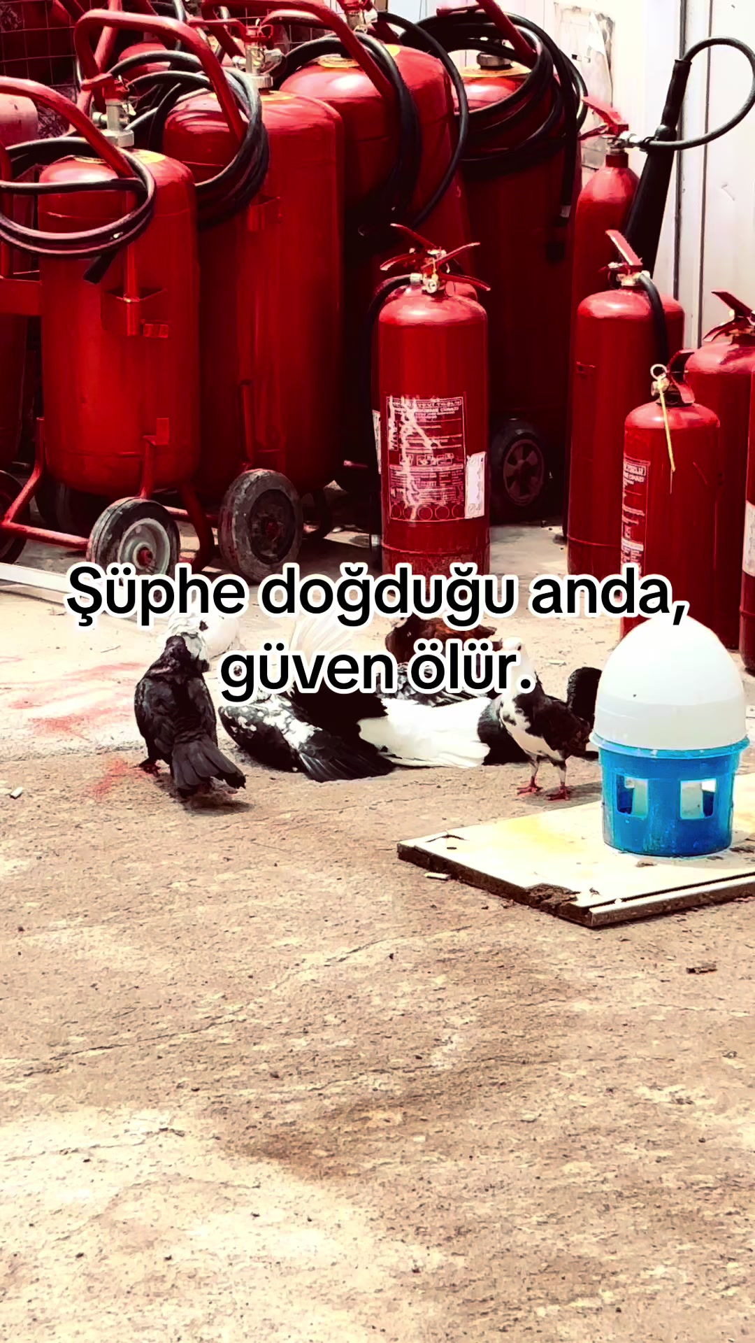 @storhanem63.01