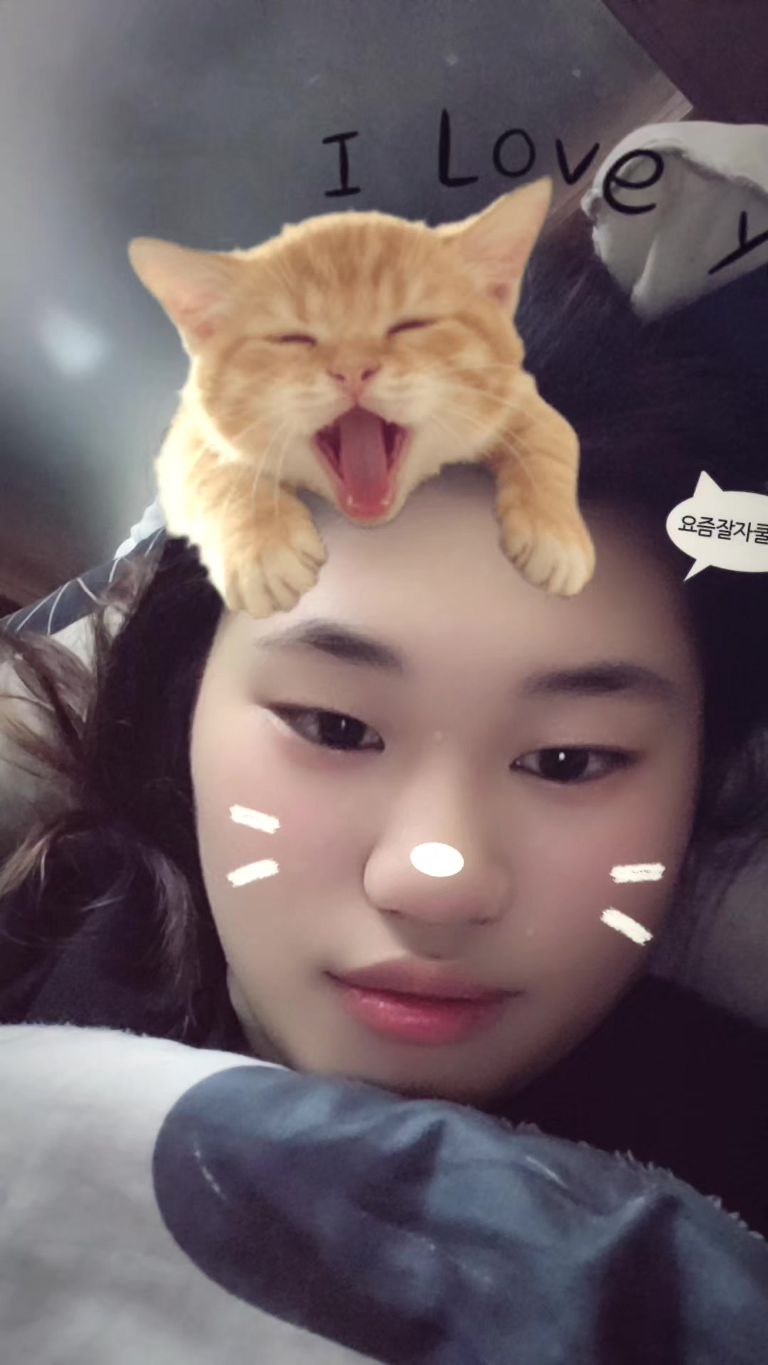 @๐์ฒ์ฌ๐