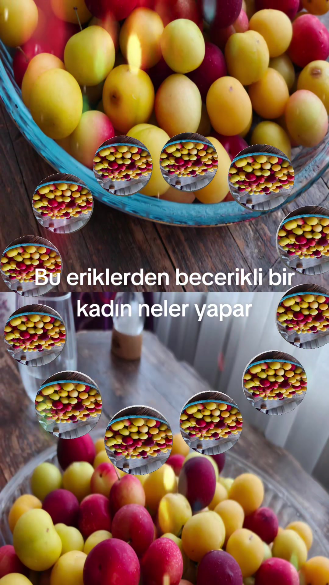 @Şükran Yilmaz
