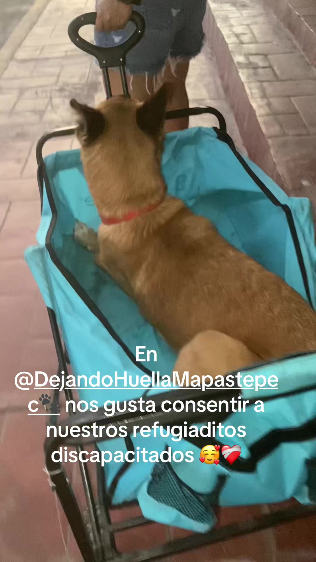 @Blanca Chavez