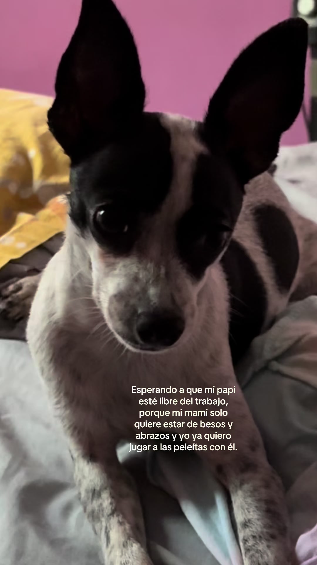 @ameevalentinaa