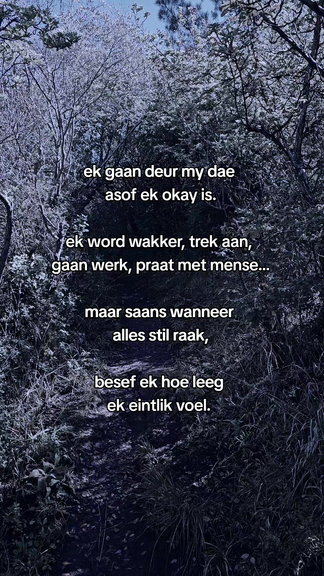 @gedagtes in die stilte