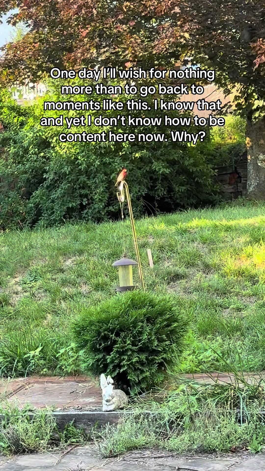 @Frances and Family