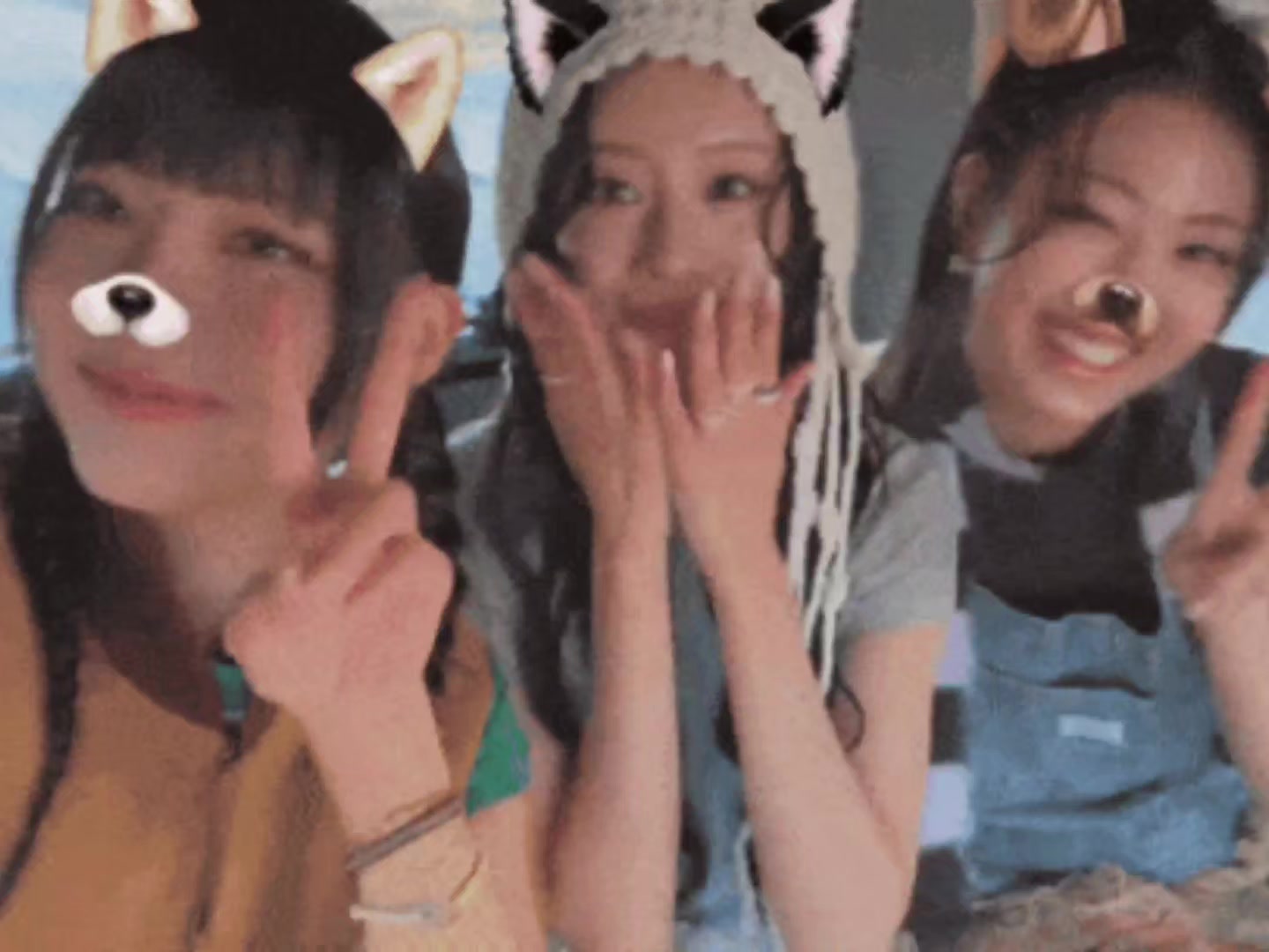 @𝗪𝗜𝗟𝗗𝗘𝗥