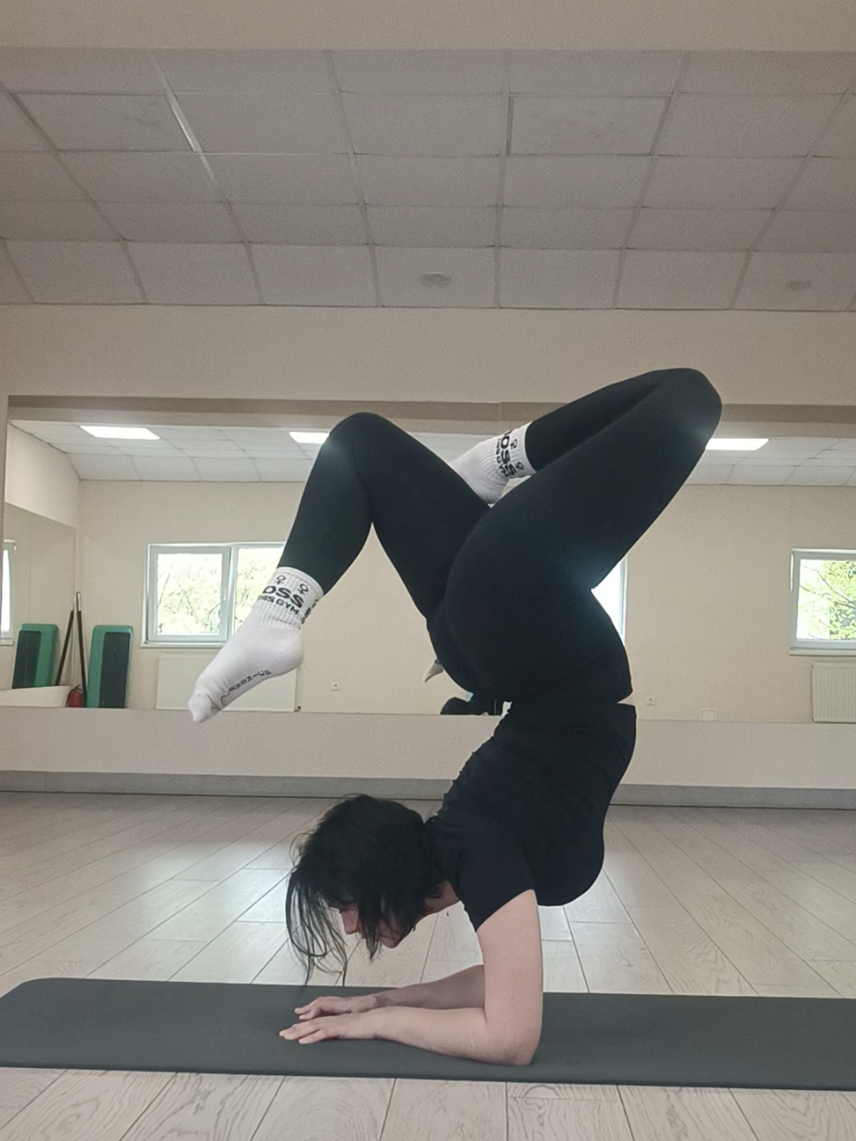 @соня плойка