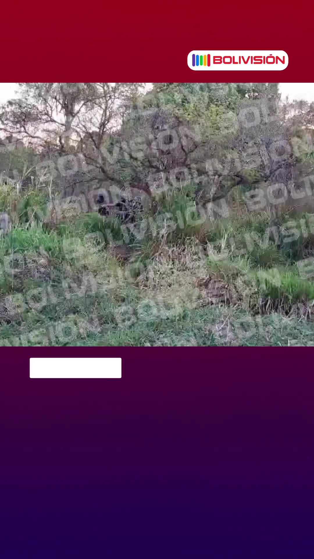@Red Bolivisi&oacute;n