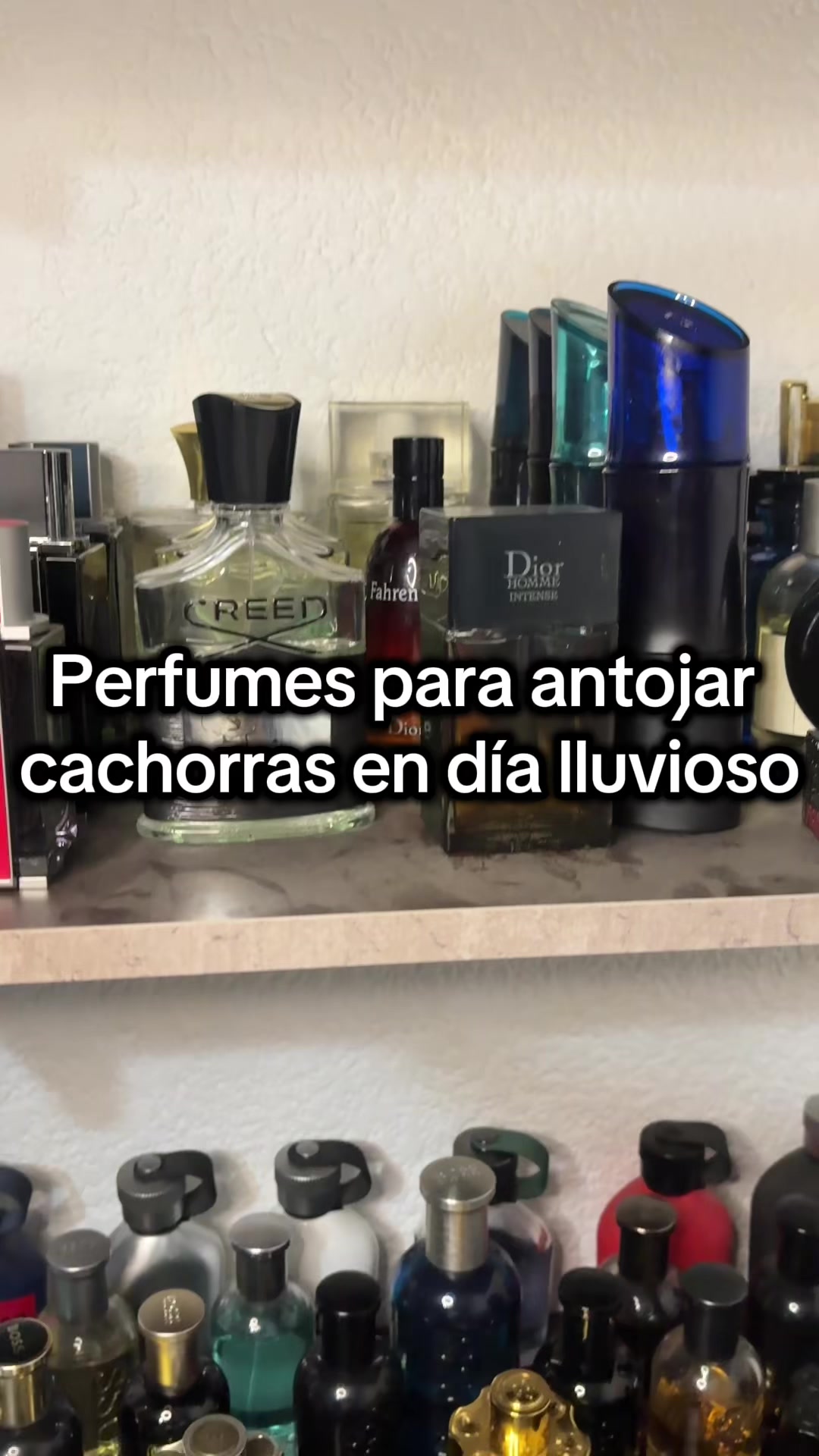 @DonParfum😎