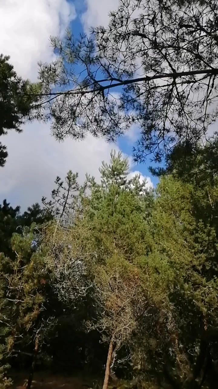 @Татьяна