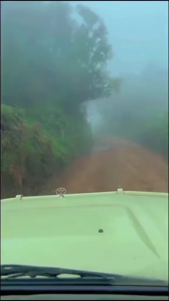 @David_Nature_Africa