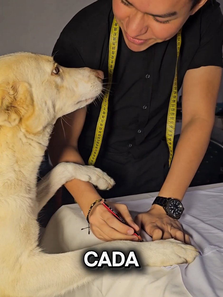 @Woof Bolivia