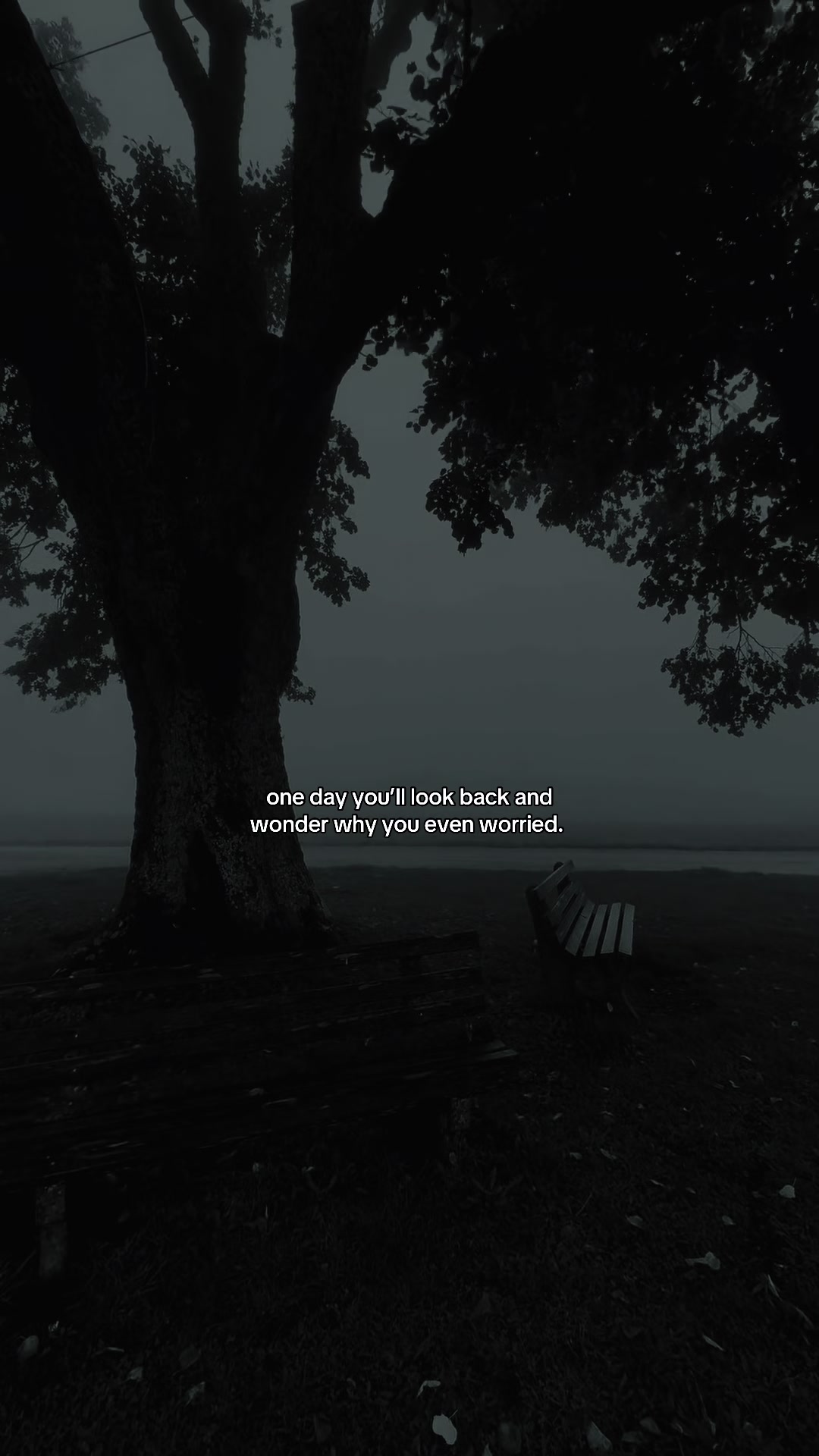 @max 🖤