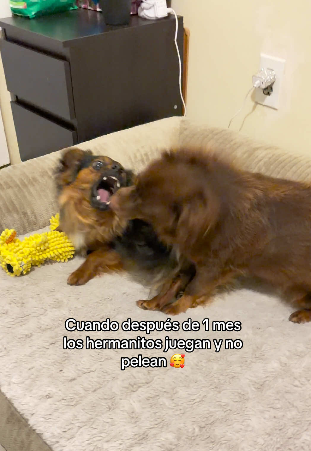 @Adriana Abraham