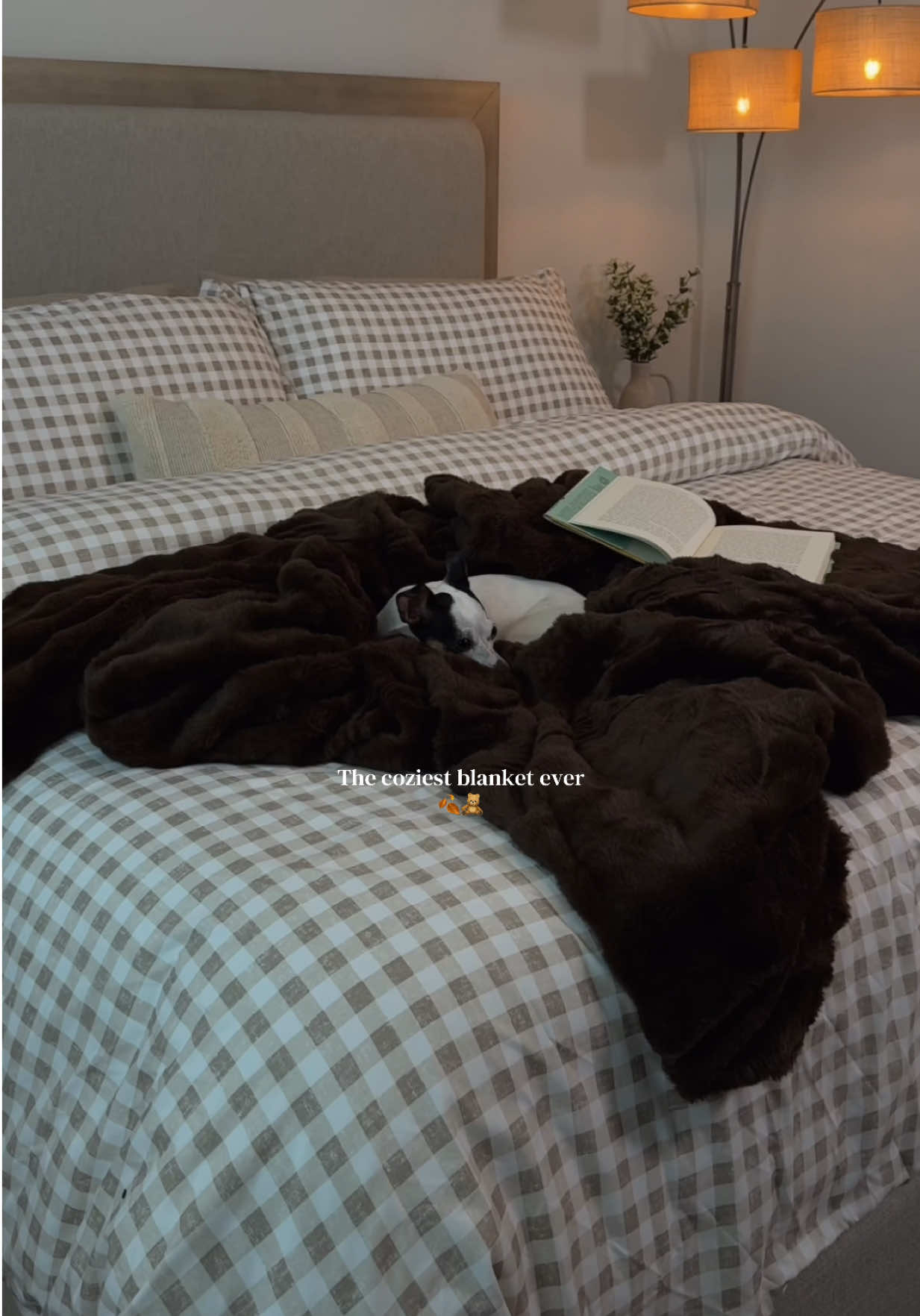 @Alexa