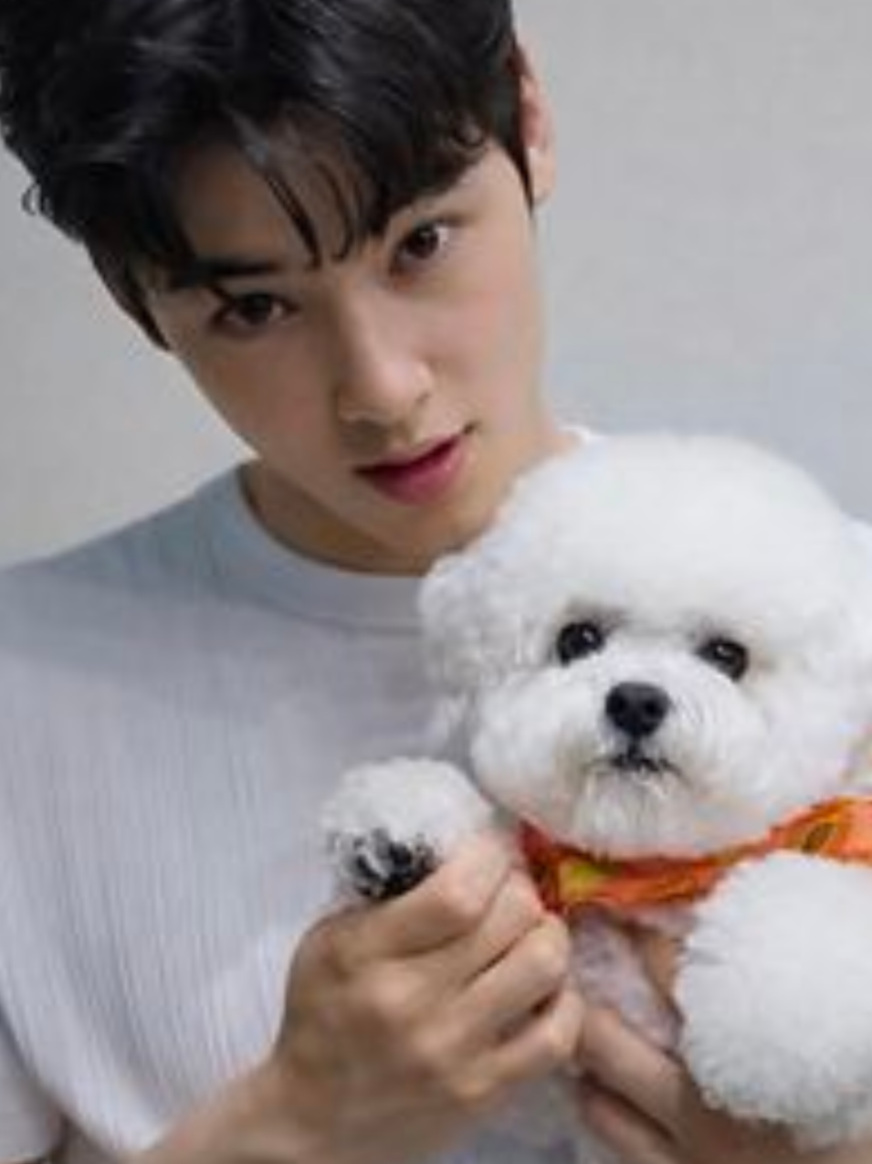 @Cha Eun Woo Edits