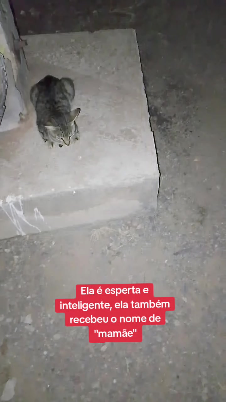 @Noticiando Brasil e Mundo