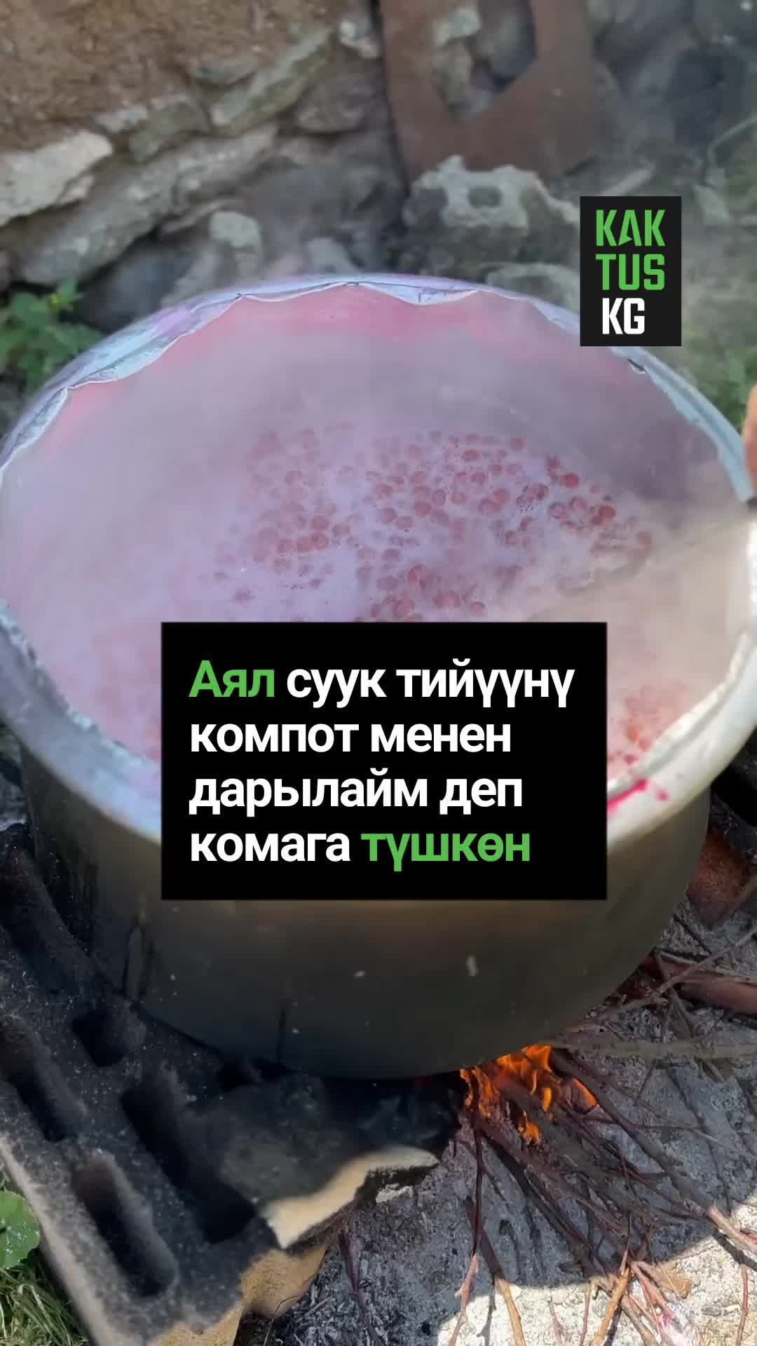 @Kaktus KG