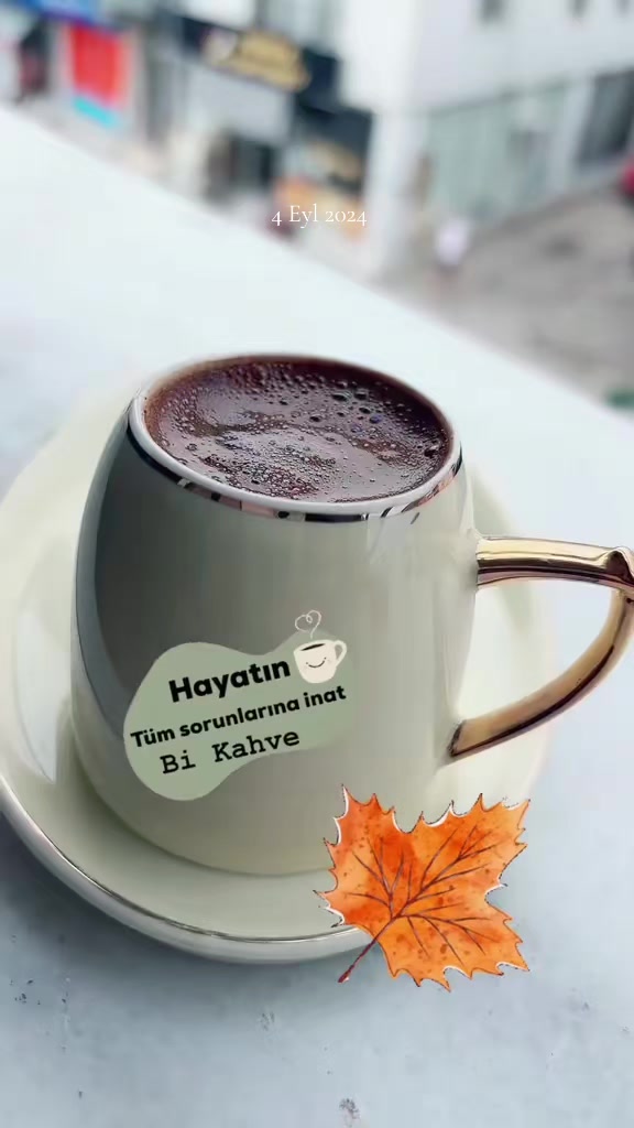 @Sevil Aydin