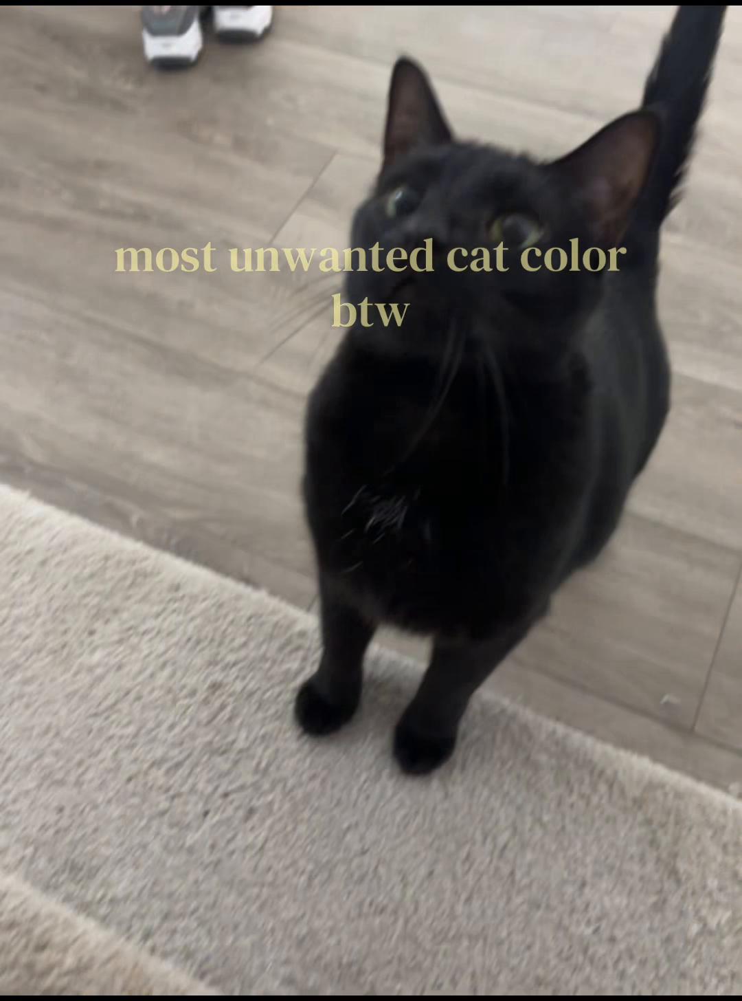 @mysterious🤤💩🥶😵💫😻👅🥓🌊