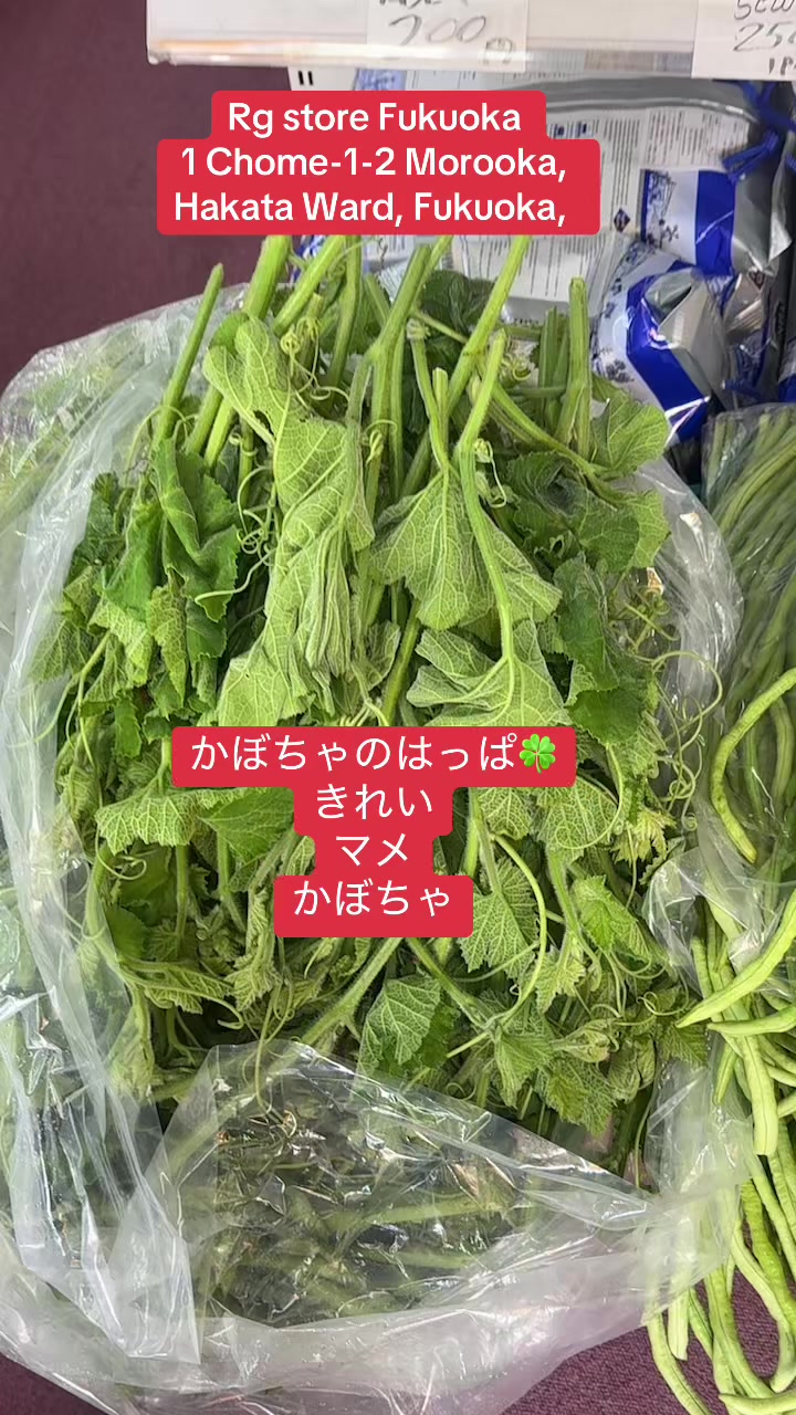 @RG Store Fukuoka LaLaport 🧿