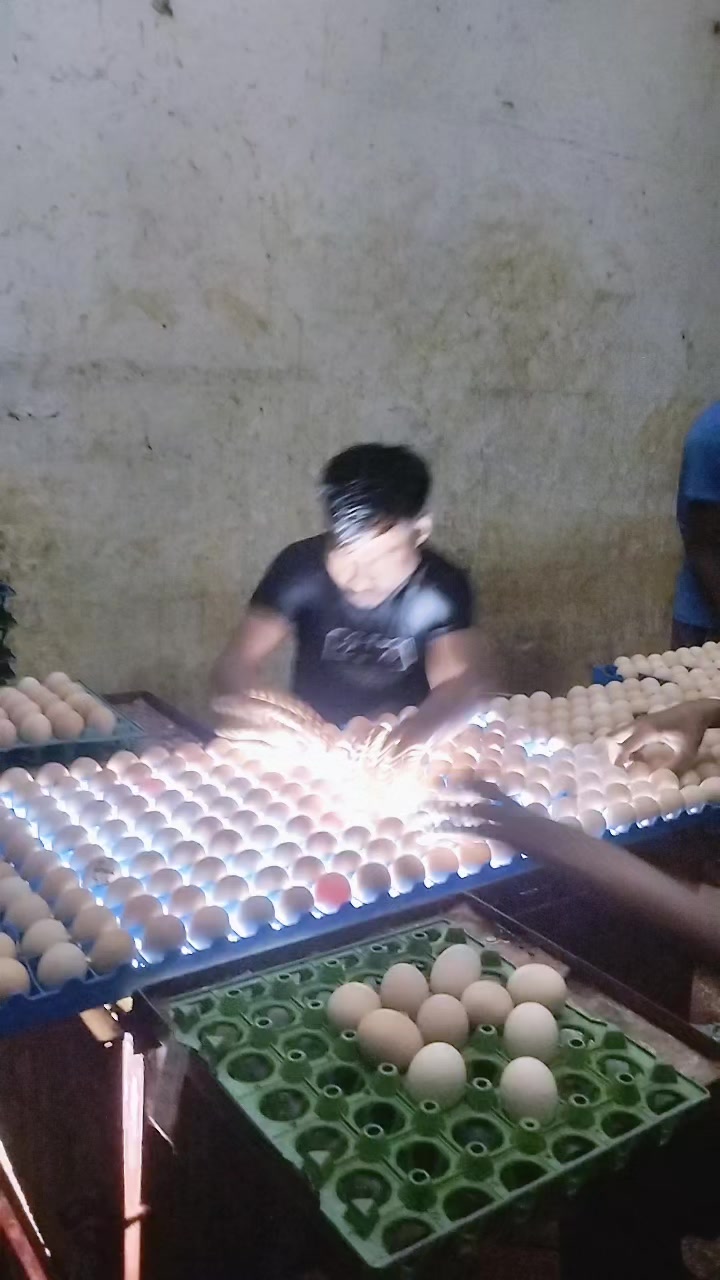 @Chiroshree