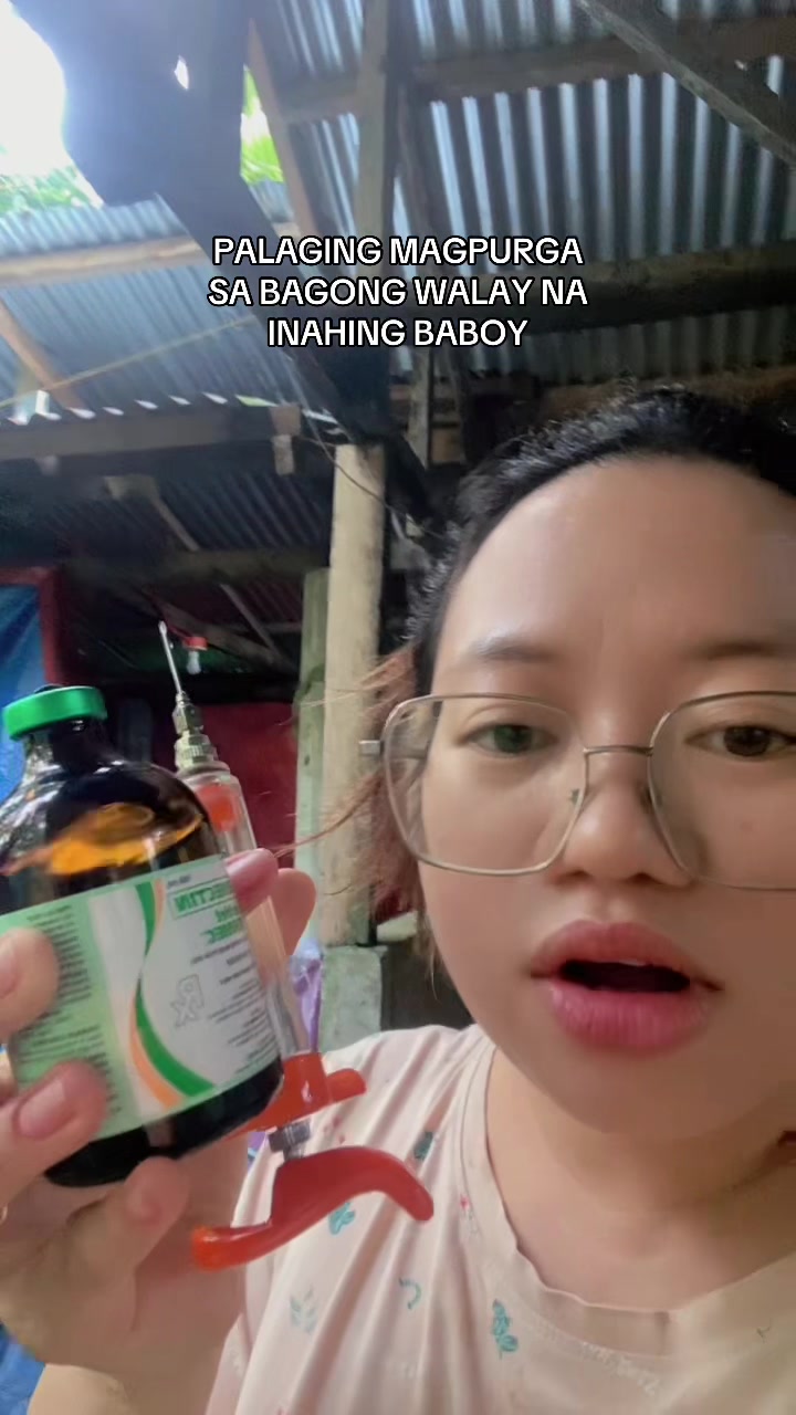 @Marj Pig Farm Vlogs