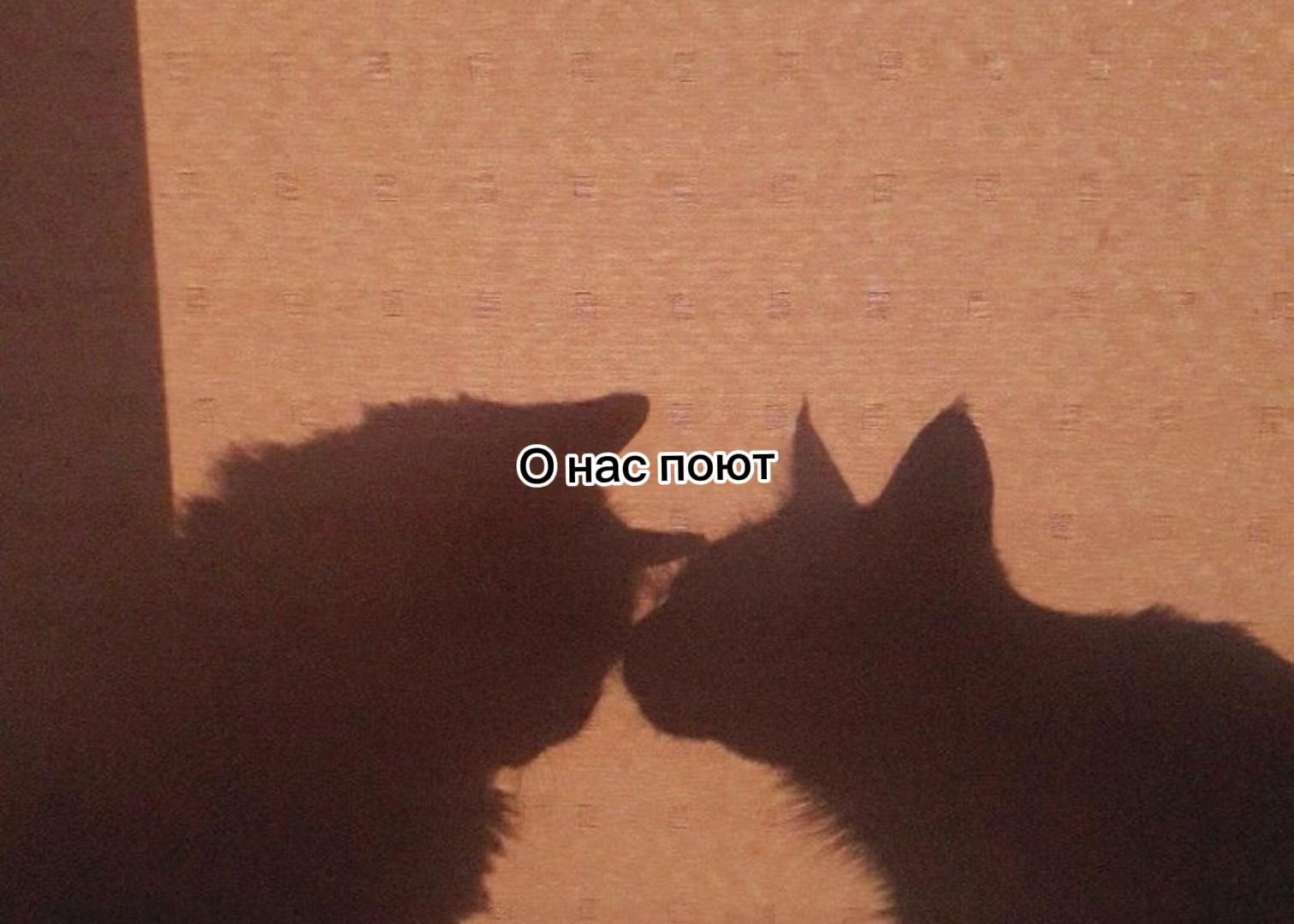@temo4kakrasivimalchik