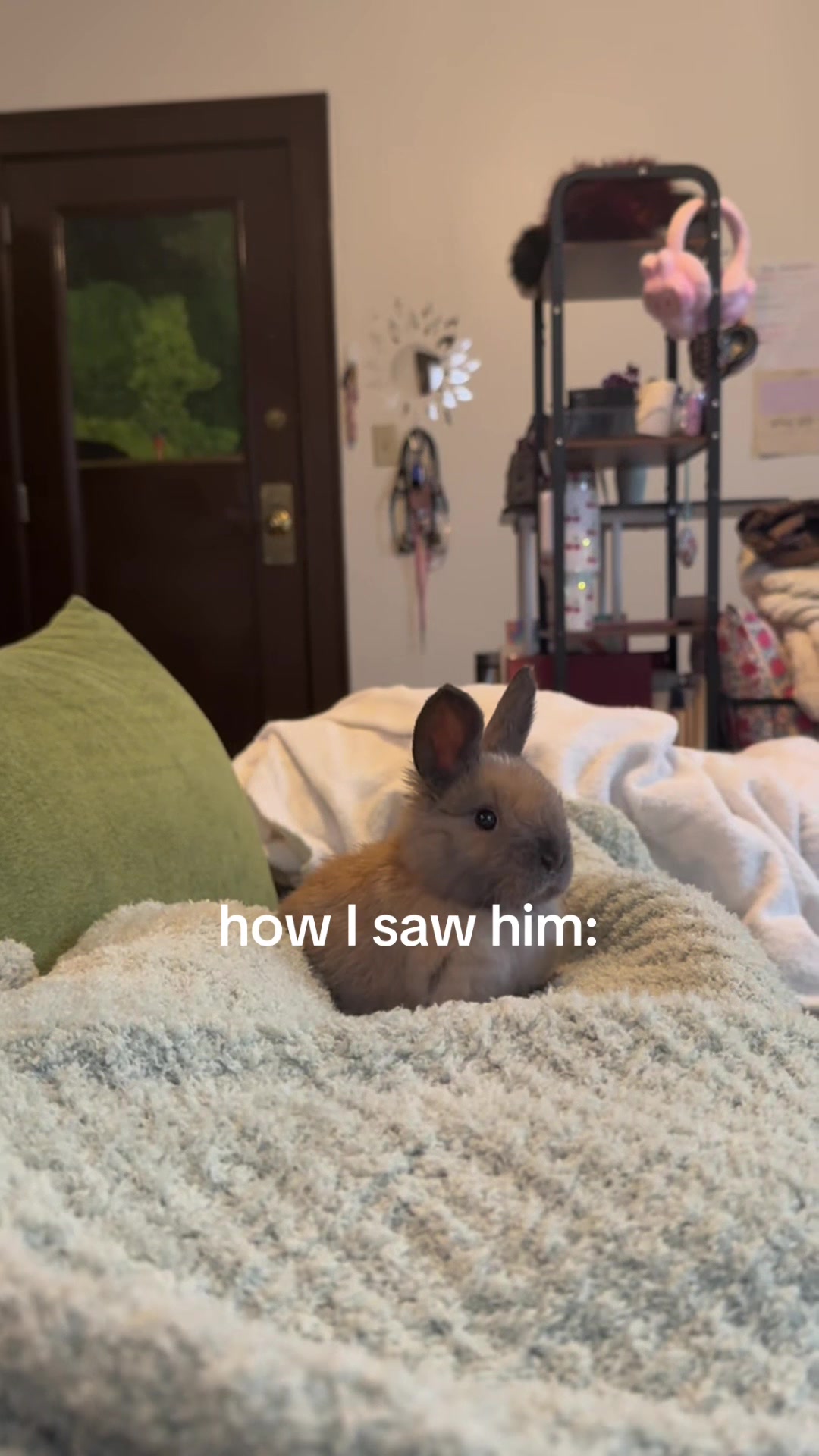 @julesandbuns