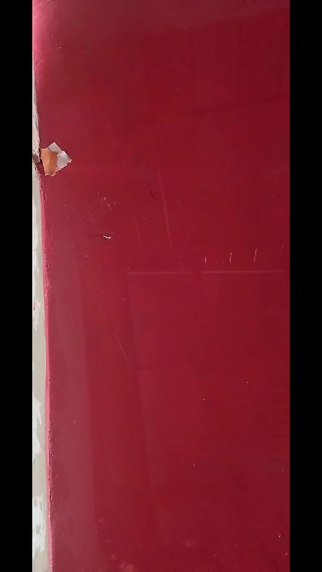 @Ivonete forrozeira d Rondônia