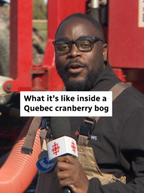 @CBC Montreal