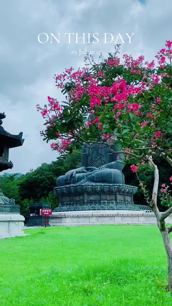 @Sachi imasha සචී 🇰🇷🇱🇰