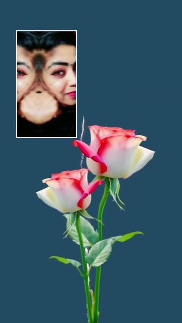 @Jyothy Binu ๐ฎ๐ณ ๐๐ฆ๐ช