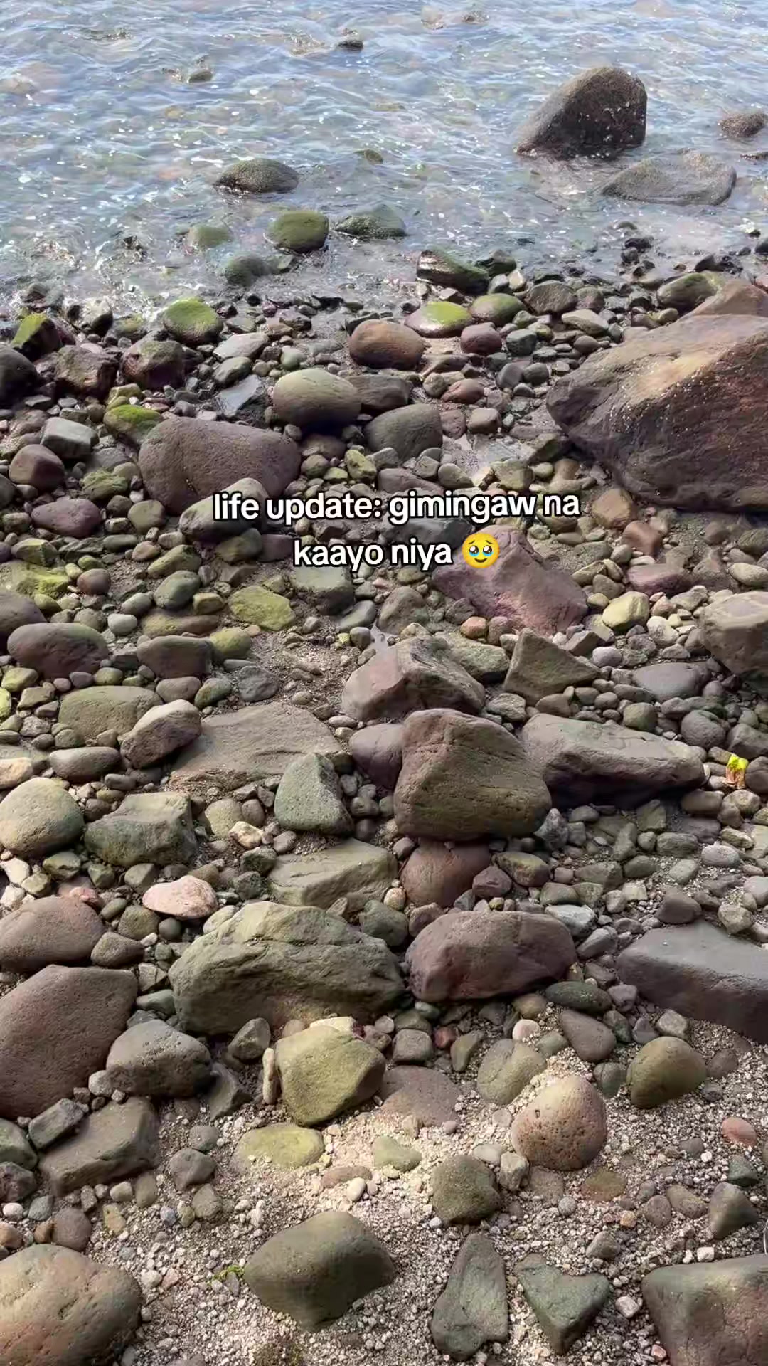 @Haypa 🎀
