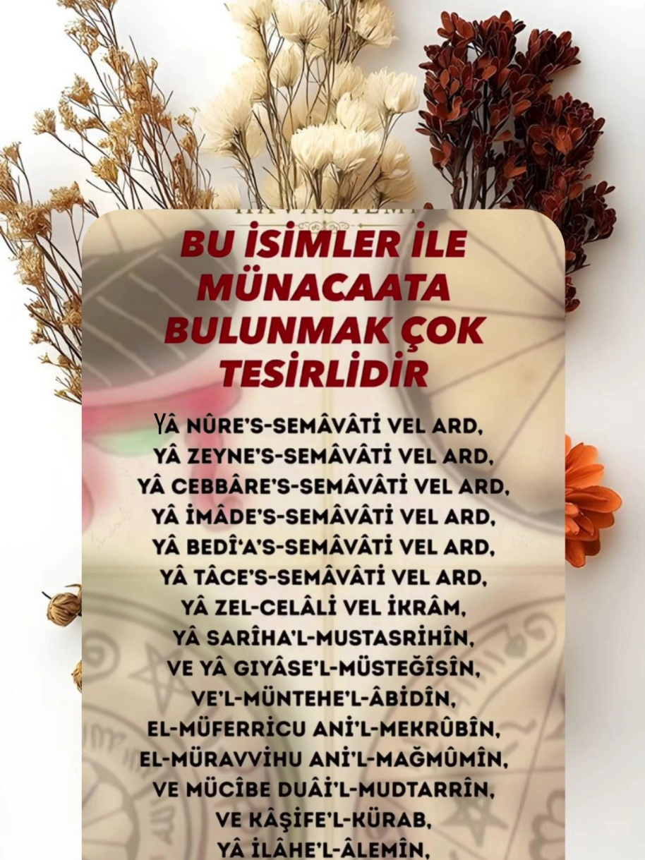 @hayat nereye gidiyor