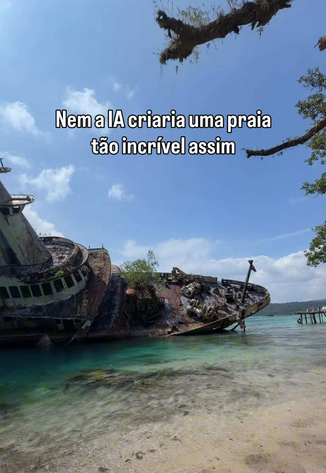 @vousemvoltaoficial