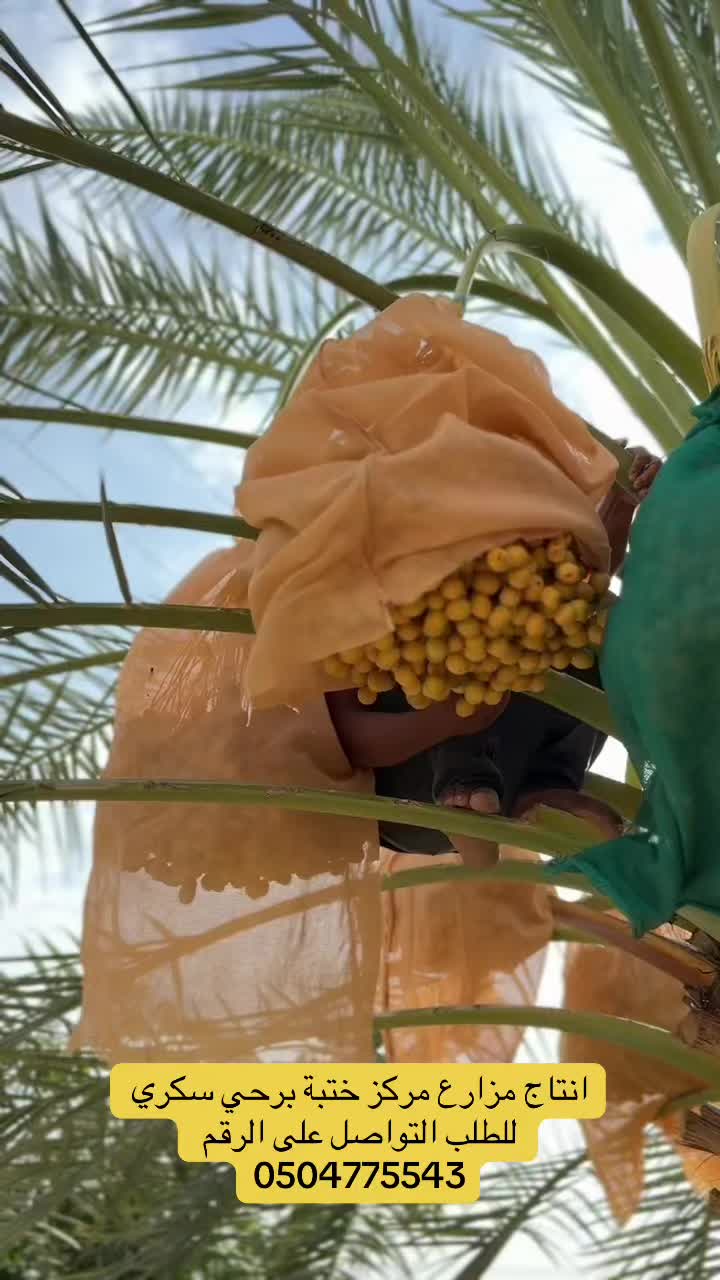 @سلطان زاهر