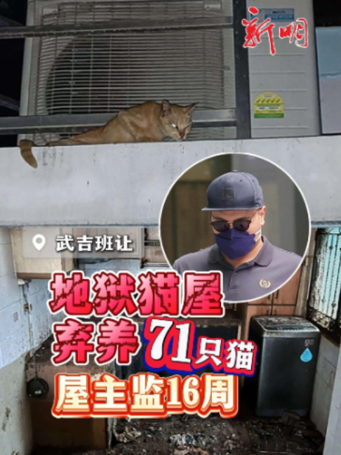@新明日报