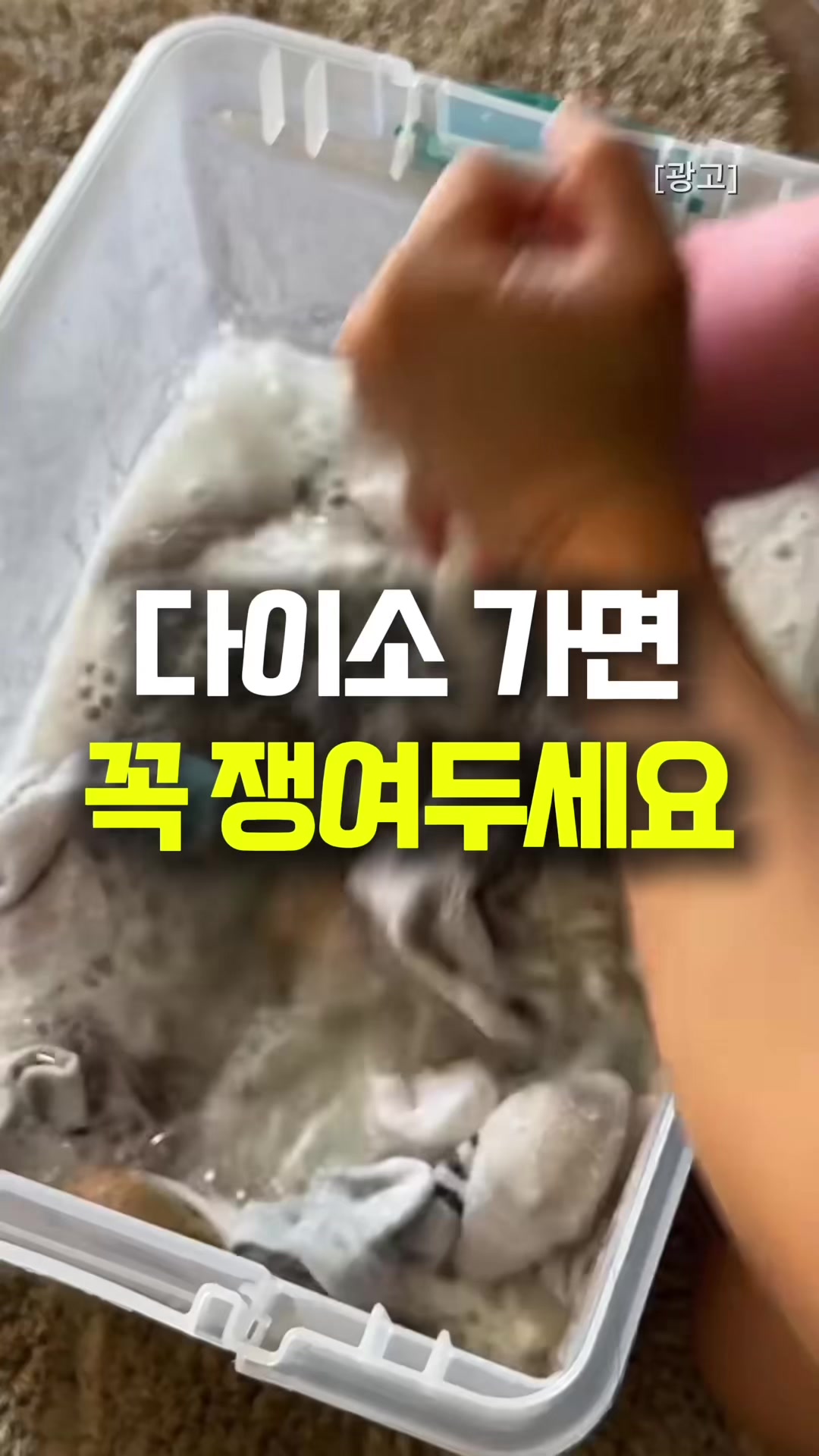@‼️상품 정보 보러가기‼️