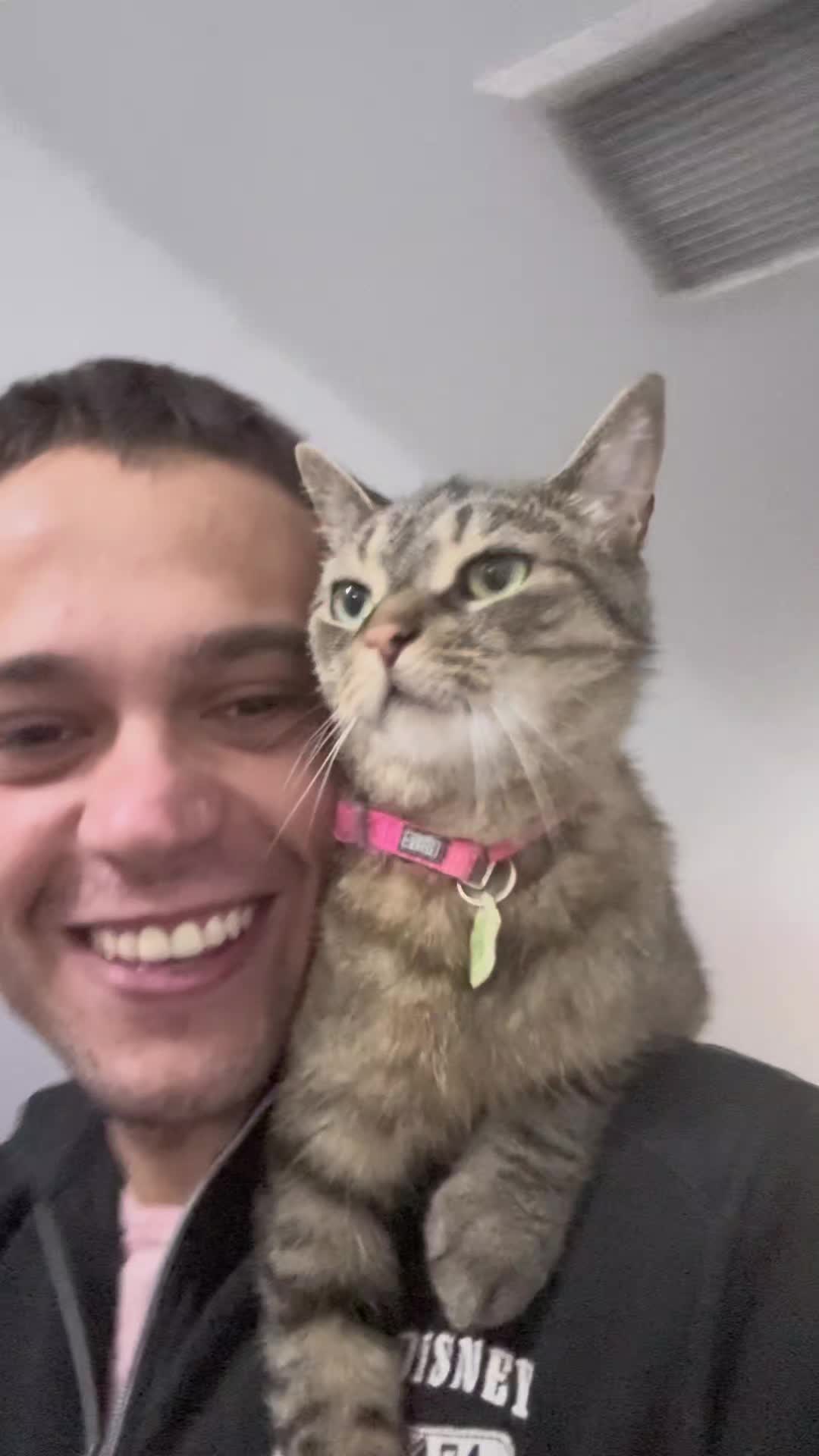 @Bellarda the cat