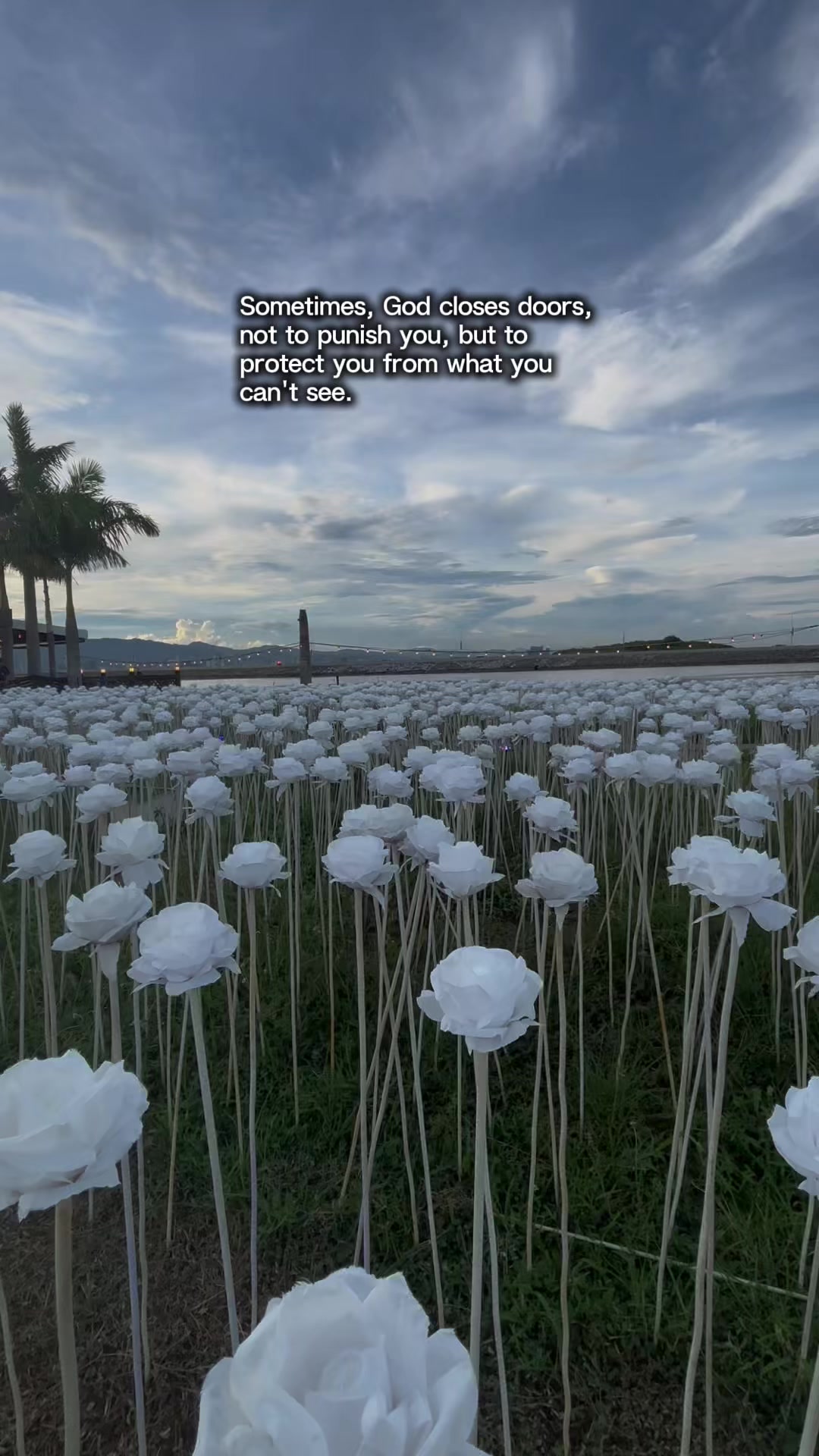 @daisy'sforyou♥️