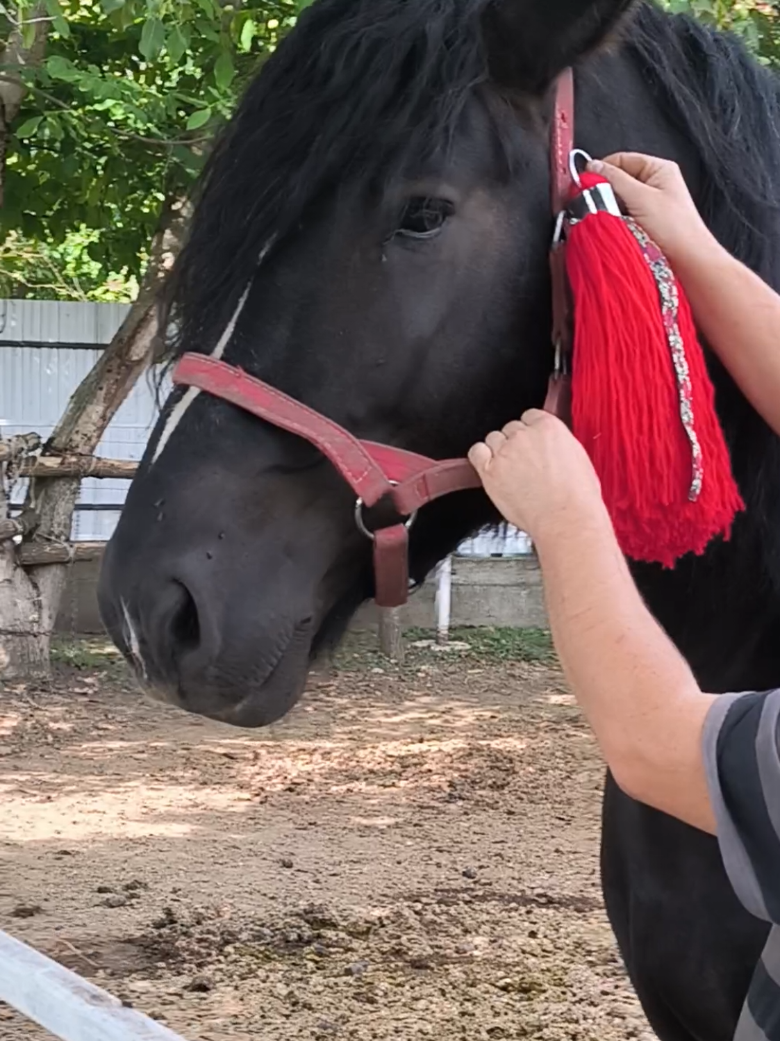 @ВАСЯ БОЙЧУК 🐎